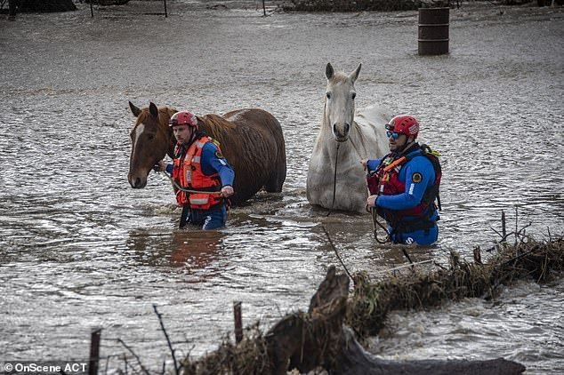 terrifying-photo-warning-australians-not-to-drive-in-flood-waters