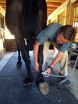 tips-for-rehabbing-soft-tissue-injuries-in-horses